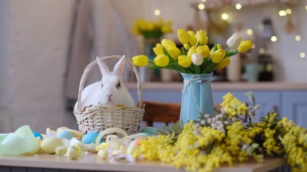 白色的甜兔子坐在柳条筐里，旁边的篮子里有装饰过的鸡蛋和一束郁金香。复活节气氛，节日餐桌 — 图库视频影像