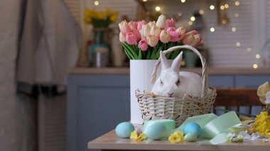 Beyaz tavşan sepetin içinde içi yumurta ve bir buket lale dolu sepetin yanında oturuyor. Paskalya atmosferi