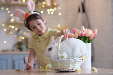 Mutlu Paskalyalar. Tavşan kulaklı ve tavşanlı çocuk bahar tatili kutlaması için sepette oturuyor. Çocuk odaklanamıyor, tavşana odaklan.
