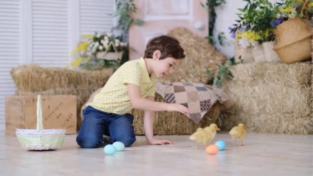 Niño pequeño se sienta en el suelo y sostiene una cesta de huevos de Pascua en sus manos. pequeños patitos están corriendo alrededor — Vídeos de Stock