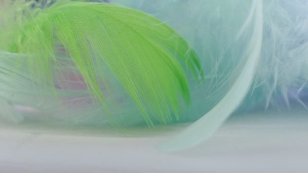 Light fluffy a white feathers abstract background. Macro, Close up. selective focus, blurred focus. slow motion video stock footage. — Stock Video
