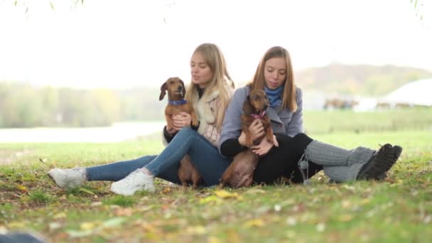 Langzame beweging. twee vriendinnen in het park spelen met hun honden. Zusters relatie. een dag in het park spelen en plezier hebben. close-up Geshotte video. — Stockvideo