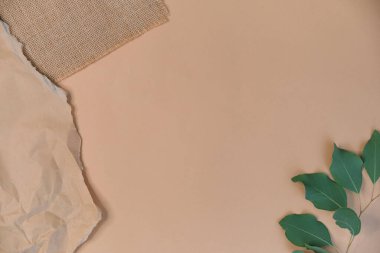 Tebrik kartı modeli. Bej arka planda okaliptüs populus dalı. farklı kağıt dokusunda tebrik ederim. Davet. mesaj için yer. düz yat