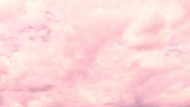 Geschwollene flauschige weiße Wolken. Cumuluswolken-Zeitraffer. Sommer rosa Himmel Zeitraffer. Die Natur witterte rosa Himmel. Wolke Zeitraffer Natur Hintergrund — Stockvideo