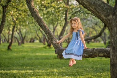 Mavi elbiseli cesur küçük kız bahçedeki bir ağaç dalında oturuyor. Serbest ebeveynlik kavramı.