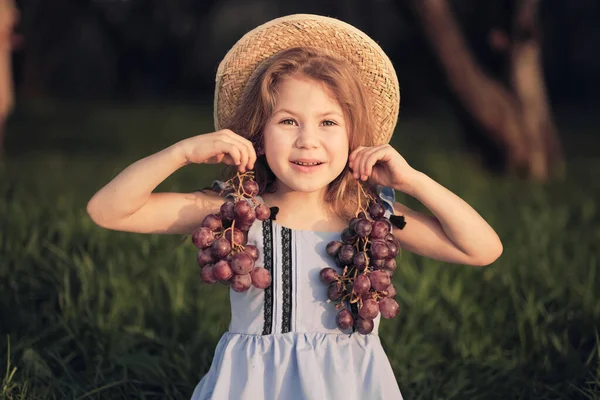 Маленькая девочка с виноградом на открытом воздухе. ребенок держит кучу красного винограда собранного самостоятельно в винограднике — стоковое фото