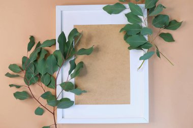 Tebrik kartı modeli. Bej arka planda okaliptüs populus dalı. farklı kağıt dokusunda tebrik ederim. Davet. mesaj için yer. düz yat