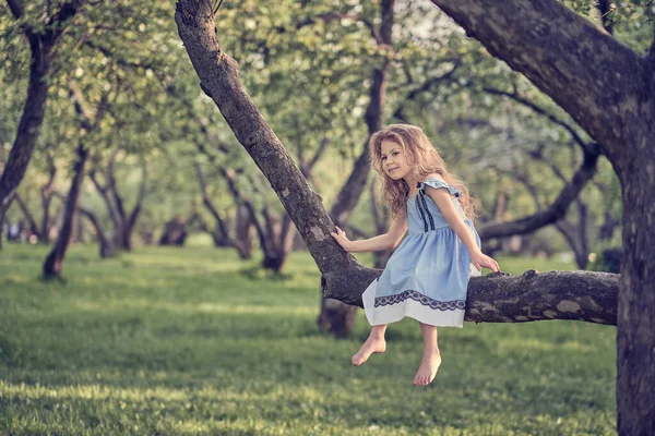 Statečná holčička v modrých šatech sedí na větvi stromu v zahradě. Koncept rodičovství volného výběhu. — Stock fotografie