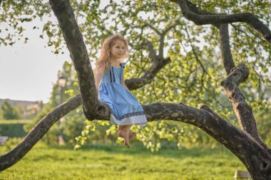Mavi elbiseli cesur küçük kız bahçedeki bir ağaç dalında oturuyor. Serbest ebeveynlik kavramı.