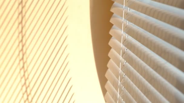 Sombra Listrada de Veneziano Cego. Janela com persianas horizontais modernas abertas dentro de casa. Contexto abstrato. — Vídeo de Stock
