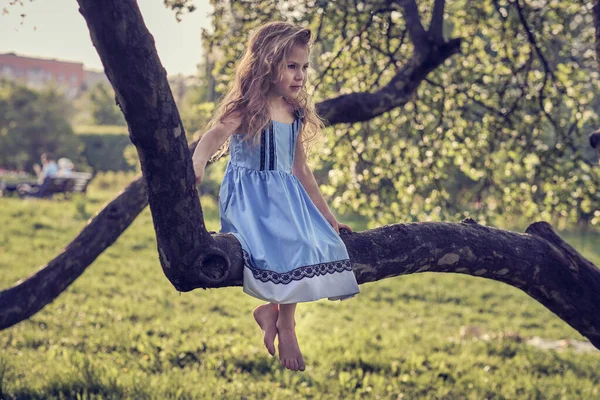 Очаровательная маленькая девочка наслаждается своим временем в парке в теплый и солнечный летний день. Ребенок веселится на школьных каникулах. храбрая маленькая девочка в синем платье сидит на ветке дерева в саду. — стоковое фото