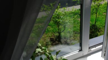 Odadaki açık pencereden rüzgar esiyor. Pencerenin yanında beyaz tül sallıyor.