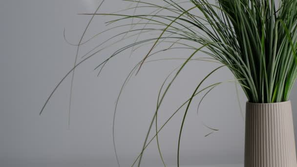 El viento sopla a través de la ventana abierta en la habitación. Ondeando tul blanco cerca de la ventana — Vídeos de Stock