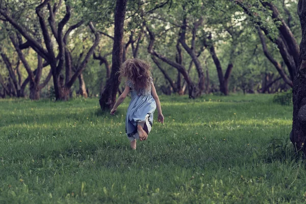 Vista da parte de trás de uma menina em um vestido azul corre descalço no parque ou na floresta. o conceito de uma vida descuidada. o cabelo voa no vento — Fotografia de Stock