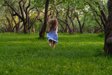 Mavi elbiseli bir kızın arkasından manzara parkta ya da ormanda yalınayak koşuyor. Dikkatsiz yaşam kavramı. Rüzgarda uçuşan saçlar