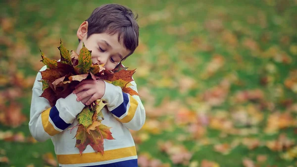 Portrait of a little boy with autumn leaves in the park. — Stock Photo, Image