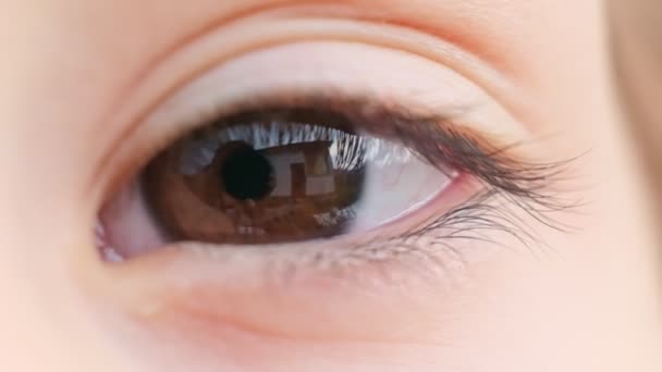 Macro shot of brown eyes of a child. close up view. Slow motion video. stock footage — Stock Video