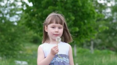 Bahar parkında karahindiba üfleyen sevimli küçük bir kız. Mutlu çocuk dışarıda eğleniyor..