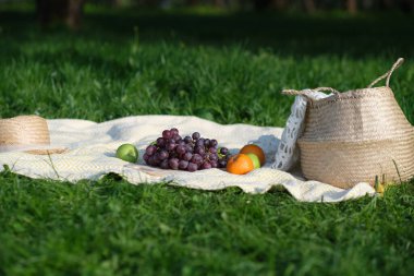 Yemek, tatil ve kutlama konsepti. Piknik septine yakın şampanya şişesi ve yaz kumsalında Fransız ekmeği.
