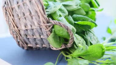 Siyah arka planda dönen taze ıspanak. Videoyu kapat. Üst Manzara. Yavaş çekim videosu. depolama görüntüleri.