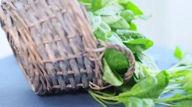 Siyah arka planda dönen taze ıspanak. Videoyu kapat. Üst Manzara. Yavaş çekim videosu. depolama görüntüleri.