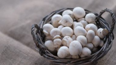 Dokulu şapkalı beyaz şampiyonlar dönüyor. Videoyu kapat. Üst Manzara. Yavaş çekim videosu. depolama görüntüleri.