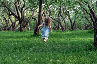 Mavi elbiseli bir kızın arkasından manzara parkta ya da ormanda yalınayak koşuyor. Dikkatsiz yaşam kavramı. Rüzgarda uçuşan saçlar
