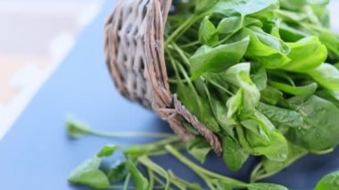 Siyah arka planda dönen taze ıspanak. Videoyu kapat. Üst Manzara. Yavaş çekim videosu. depolama görüntüleri.