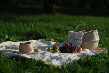 Yemek, tatil ve kutlama konsepti. Piknik septine yakın şampanya şişesi ve yaz kumsalında Fransız ekmeği.