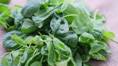 Siyah arka planda dönen taze ıspanak. Videoyu kapat. Üst Manzara. Yavaş çekim videosu. depolama görüntüleri.