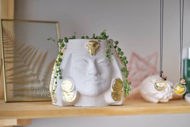 Kurumuş ortanca çiçeklerinin dikenli saç stili olarak saksı bitkisi olan insan büstü.