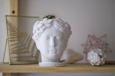 Kurumuş ortanca çiçeklerinin dikenli saç stili olarak saksı bitkisi olan insan büstü.