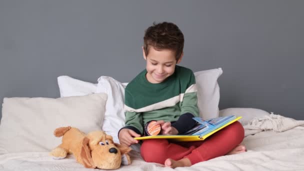 Alfabe kitabı okuyan şirin bir çocuk. Çocuk açık kitaba bakıyor. Ev okulu dersi. Yoğunlaşmış küçük çocuk evde oturmuş kitap okuyor. — Stok video