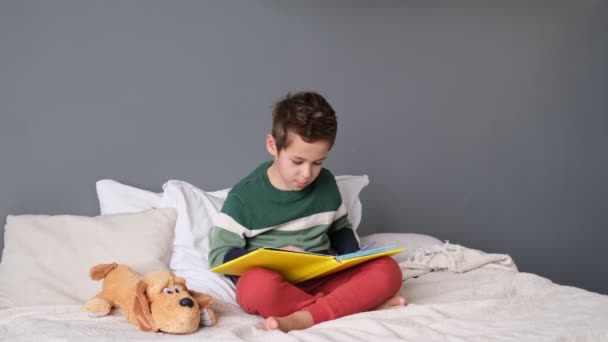 Cute little boy reading alphabet book. Child looks at open book. Homeschool lesson. Concentrated little boy sitting on bed reading book at home — Stock Video