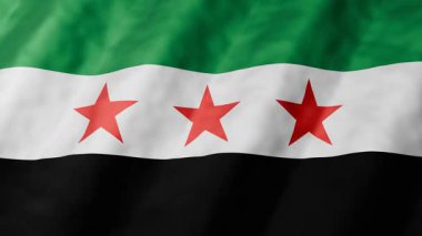 Suriye ulusal bayrağının 3 boyutlu animasyonu pürüzsüz bir döngü içinde sallanıyor. Yeşil, beyaz, siyah çizgili tam kare bayrak ve bağımsızlığı simgeleyen üç kırmızı yıldız..