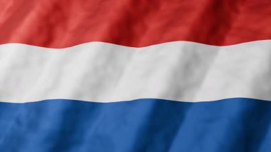 Hollanda bayrağının 3 boyutlu animasyonu kusursuz bir döngü içinde dalgalanıyor. Kırmızı beyaz ve mavi yatay çizgiler ulusal bayrak arka planı. Özgürlük Günü, bağımsızlık konsepti, vatanseverlik. 4K hareket grafiği.