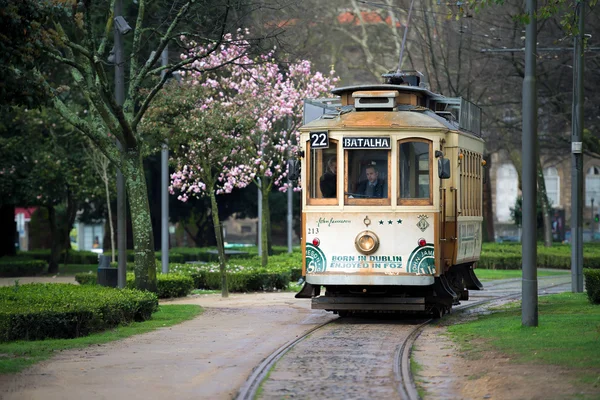 Bonde em um parque — Fotografia de Stock