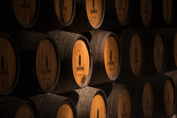 Beczki z Porto winorośli w piwnicy — Zdjęcie stockowe