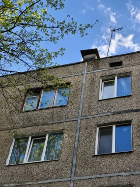 Çok katlı bir apartmanın birkaç penceresi, ön planda taze yeşil dallarla aşağıdan çekilmiş.