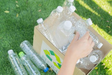 Çevreyi korumak için plastik şişeyi geri dönüşüm kutusuna koymak. Üst görünüm, seçici odak.