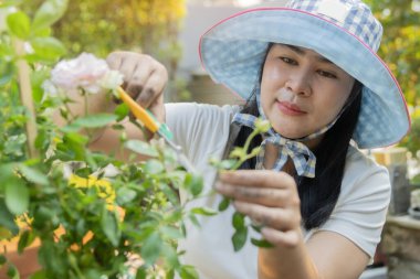 Bahçede hoş bir etkinlik. Tulum giymiş Asyalı kadın bahçıvan hobisinin keyfini çıkarıyor, evde bahçe yaratıyor. Bitki yetiştirme, çocuk bakımı, bahçe bakımı..