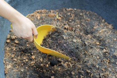 Bahçıvanın elinin küçük bir malayla bahçedeki zengin, karanlık toprağı işlemek ve bahar mevsiminde ekime hazırlanmak için yakın plan çekimleri.