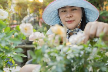 Mavi şapkalı mutlu Asyalı kadın gün boyunca arka bahçesinde bitkileriyle ilgileniyor. Kadın gardaning, seçici odaklanma.