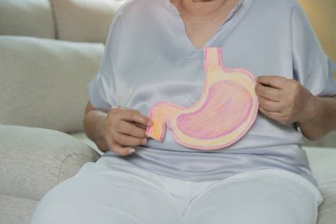 Kanepede oturan ve elinde kağıttan yapılmış mide organı tutan yaşlı bir kadın. Mide kanseri taraması, mide nakli, sindirim sistemi sorunu ve mide hastalığı tedavisi kavramı.