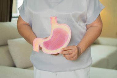 Evdeki yaşlı ellerde kağıttan yapılmış mide şekli. Adet döneminin karın ağrısı, mide ülseri, apandisit ya da mide sistemi hastalığı gibi sebepleri var.