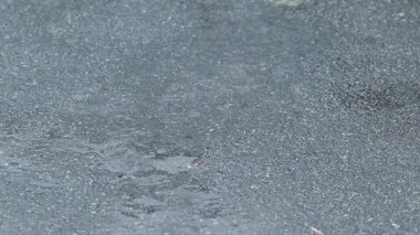 Yağmur damlaları asfalttaki su birikintisinde dalgalanmalar yaratır. Gri asfaltta küçük bir su birikintisine düşen yağmur damlaları yakın plan, eşmerkezli daireler, sükunet, yansıma oluşturur.