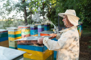 Arıcı, bir orman arısının metal kapağıyla renkli bir arı kovanını kapatıyor. Arıcı, sorumluluk kavramını somutlaştıran ve çalışma döngüsünü tamamlayan güneşli bir açıklık üzerindeki çerçeve incelemesini tamamlıyor