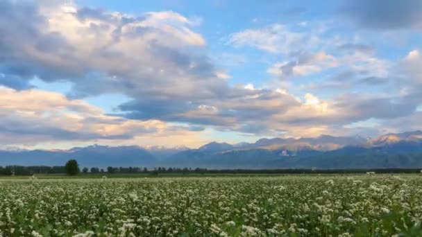 Montañas con nubes en Kazajstán — Vídeo de stock