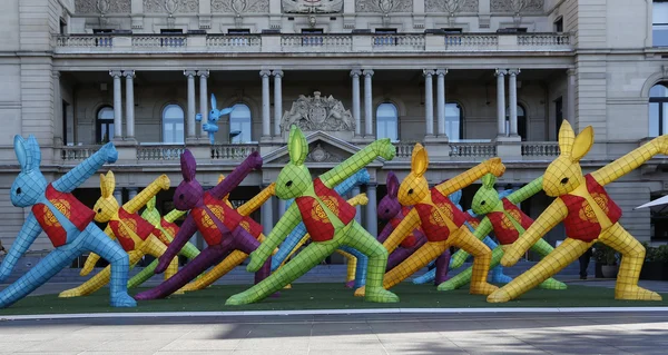 Rabbits contemporary performance