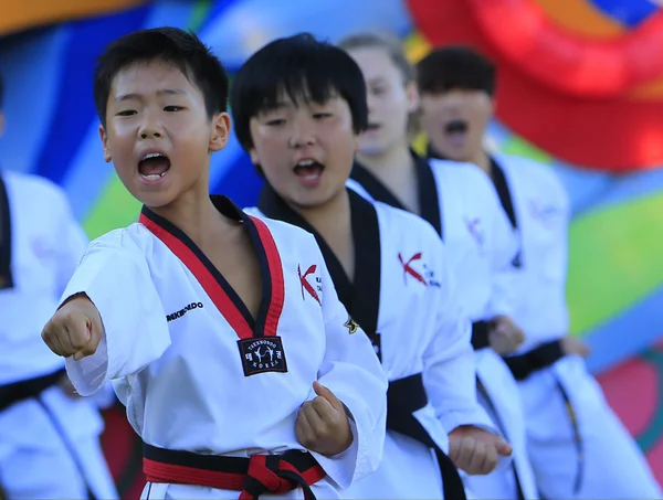 Taekwondo performance at Harbour Bridge — Stock Photo, Image